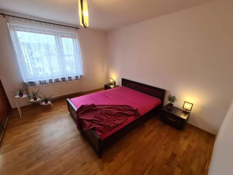 Apartament Na Poddaszu - Bielawa Bielawa  Exterior photo